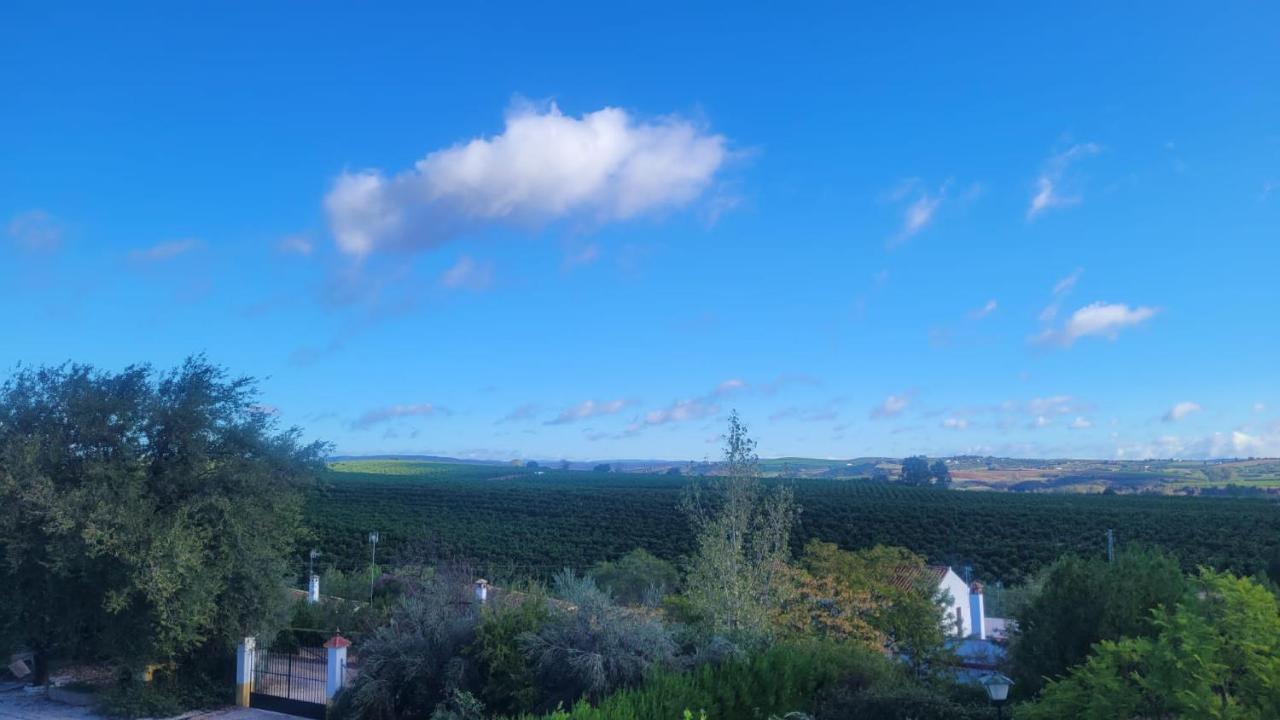 Los Candiles Cantillana エクステリア 写真